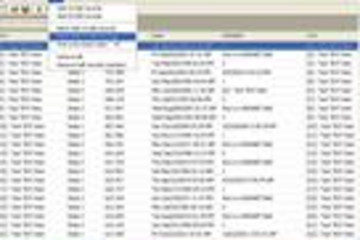 Codejock Report Control预览：
